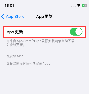 铜陵苹果15维修中心如何让iPhone15APP自动更新